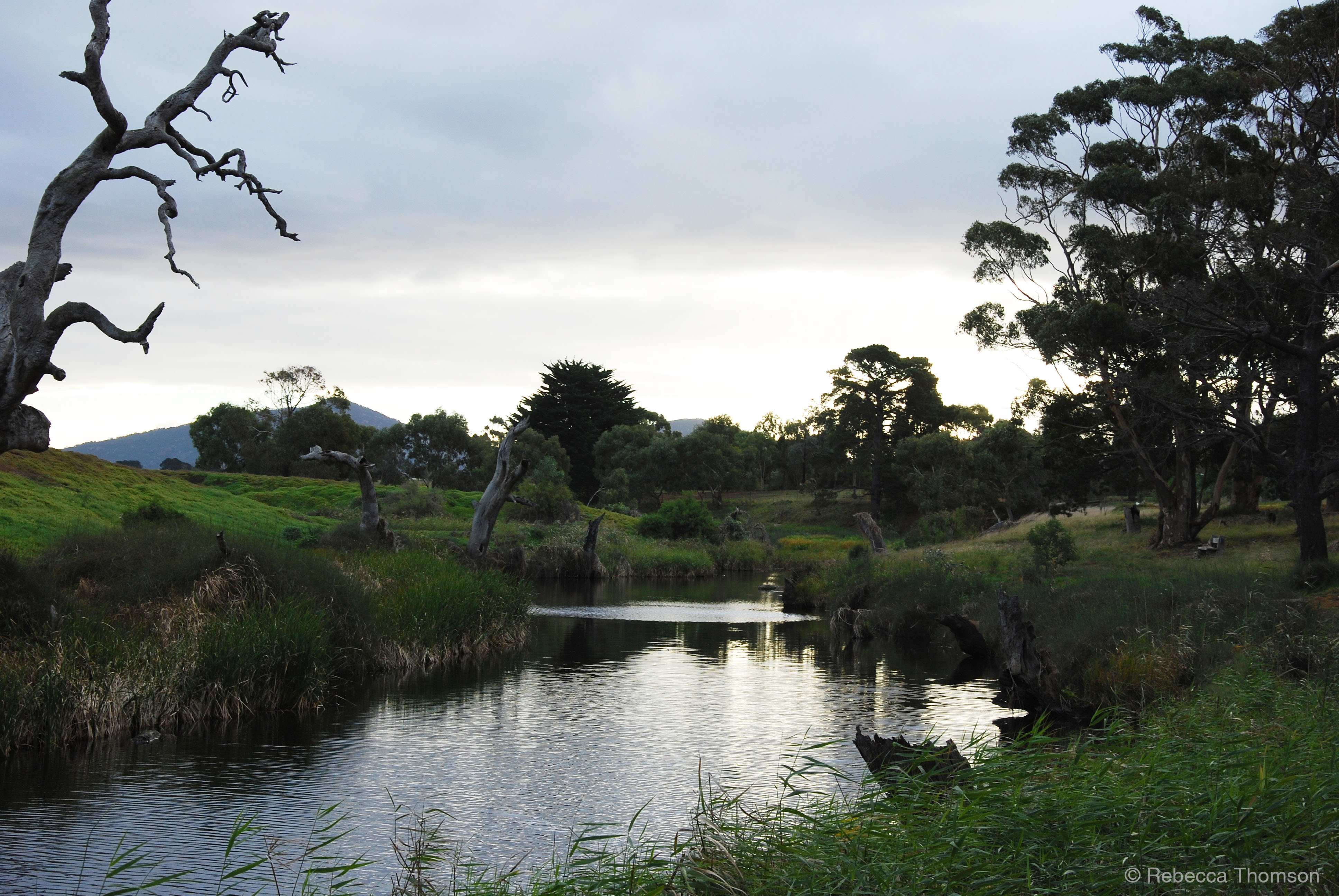 Little River near park