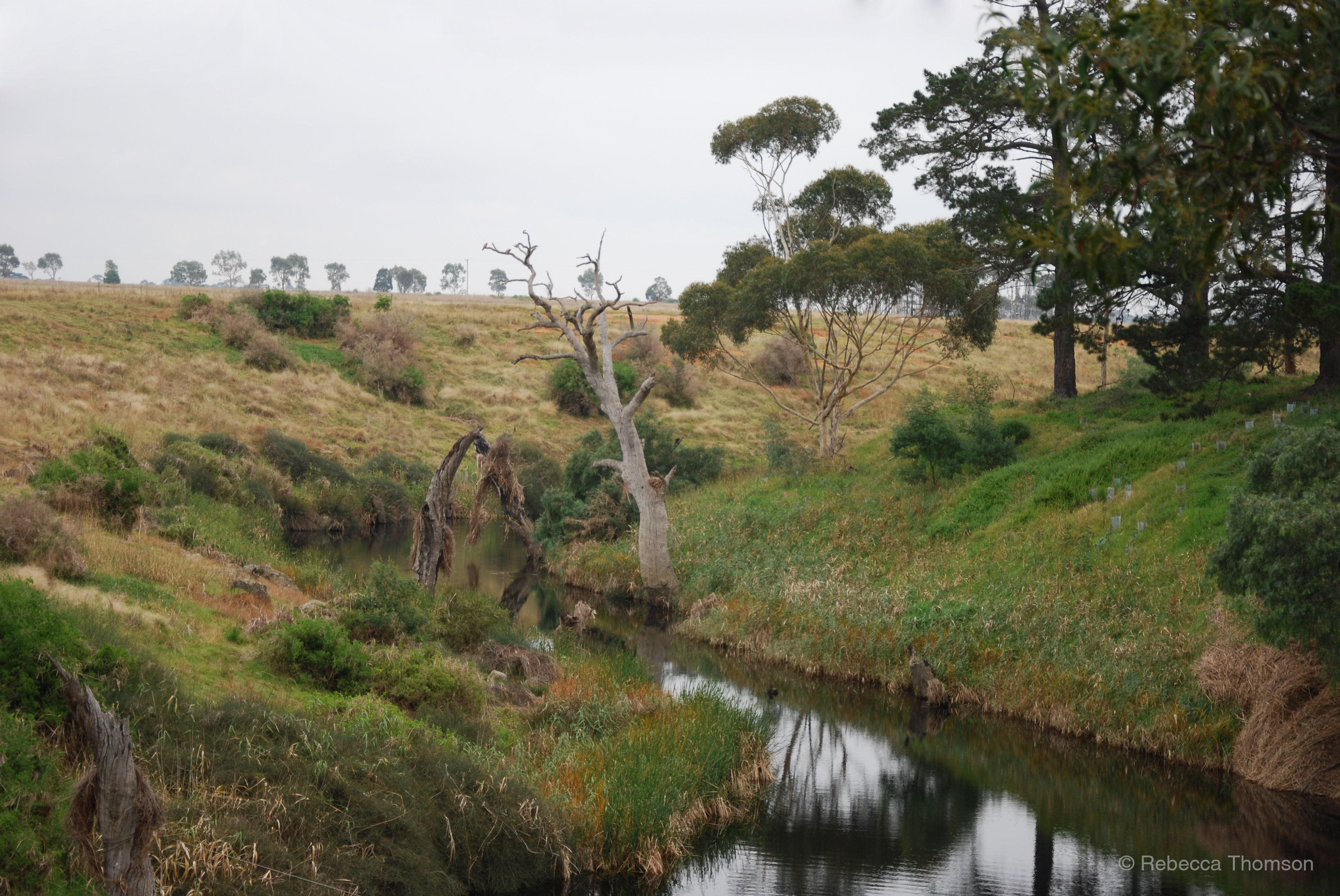 LIttle River near Park