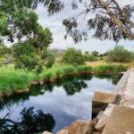 LIttle River Weir Improvement Project