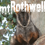 Mt Rothwell Conservation Reserve