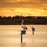 RAMSAR Wetlands